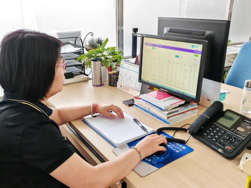 順義區為高校畢業生提供無縫銜接式就業服務，計算機信息技術咨詢助力精準就業