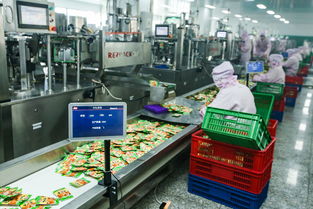 聚劃算“廠銷通”系統(tǒng)上線 技術(shù)、物流與金融全方位賦能產(chǎn)業(yè)帶商家